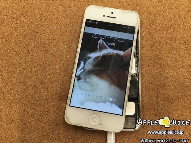 水没洗浄し復活したiPhone5