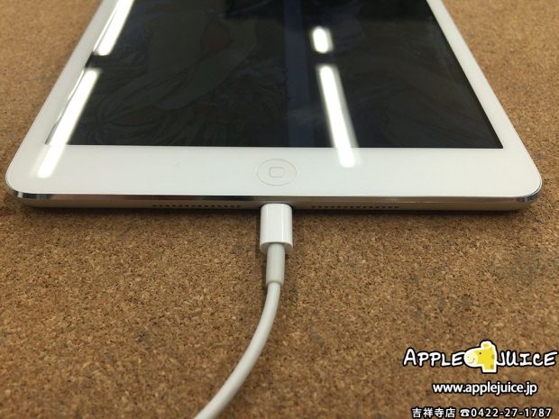 画面と液晶パネルとフレームを交換したiPad mini
